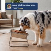 Gamelle Orthopédique – Moyens & Grands Chiens | Pellowsy™