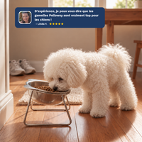 Gamelle Orthopédique - Petits Chiens⏐Pellowsy™