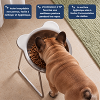 Gamelle Orthopédique - Petits Chiens⏐Pellowsy™